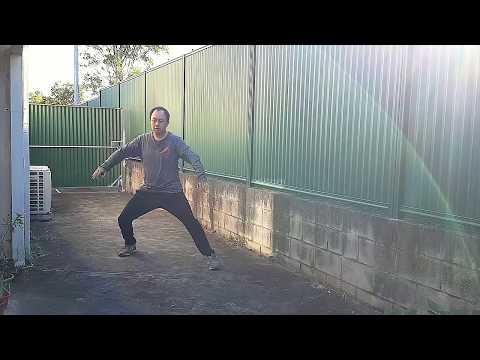 Self-study Chen style Taijiquan Cannon Fist form