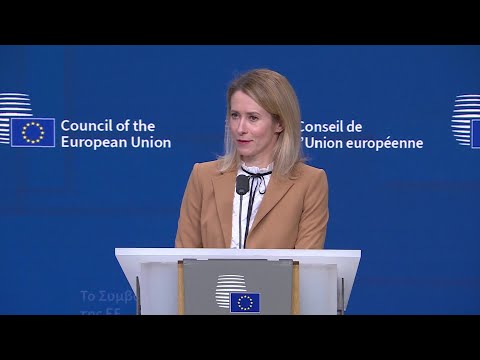 Video | Putin-Witkoff talks risk piling pressure on Kyiv, says EU's Kallas | AFP