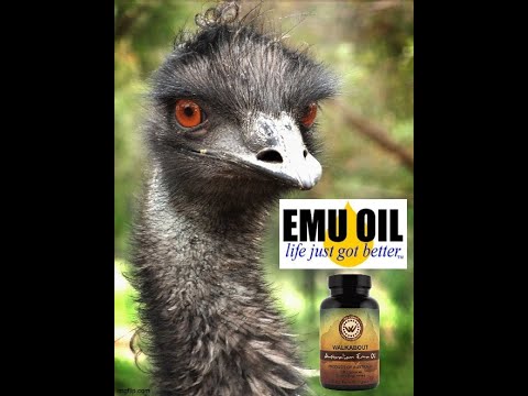 BEST Animal Fat EVER? - EMU OIL