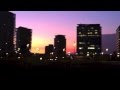 2562-Moog Dub