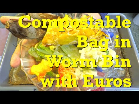 Compostable bag in Euro nightcrawler worm bin after 244 days - vermicompost
