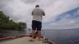 ToledoBend060416