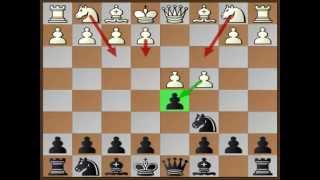 Chess Trap 10 (Chigorin Defense)