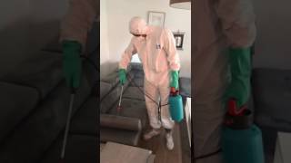 Cafard killer - cannes - Toulouse