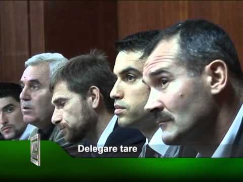 Delegare tare