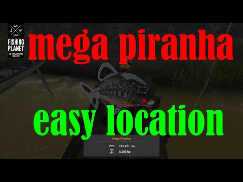 Fishing Planet - Mega Piranha Monster | Easy Location All Map