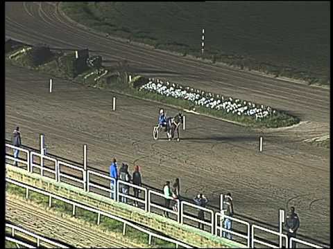 Trotto 06/03/2016 - Corsa Pony