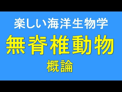 ミミズ (Oligochaeta、Lumbricina)