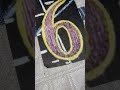 Sesame Street Rap 6