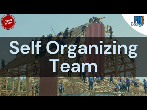 What exactly is meant by Self-Organizing Team? How does a Scrum Team self-organize on real projects?