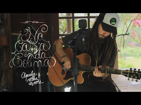Victor Pradella - Aquela Velha Arvore
