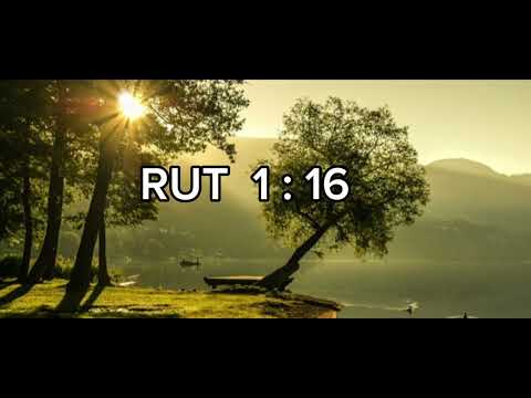 AMAR A CRISTO QUIERO. - letra