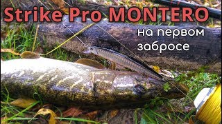 Воблер страйк про монтеро 110