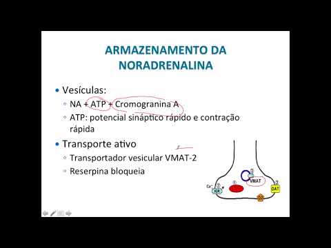 Curso de Farmacologia Aula 7   Farmacologia adrenérgica   Divisão Farmacológica1