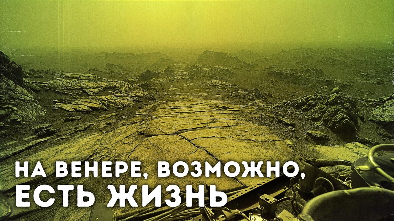 Ученые только что доказали, что жизнь может существовать на Венере