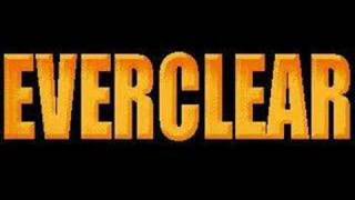 EVERCLEAR-THE SWING