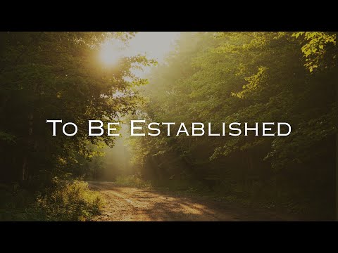 "To Be Established" | Bro. Mitch Salyer | Wednesday, January 21, 2025