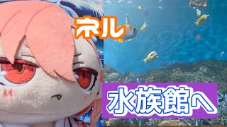 【ブルアカ】美甘ネルが水族館に潜入！？ 前編