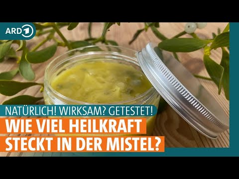 Mistel: Welche Wirkung hat die Heilpflanze? | ARD GESUND