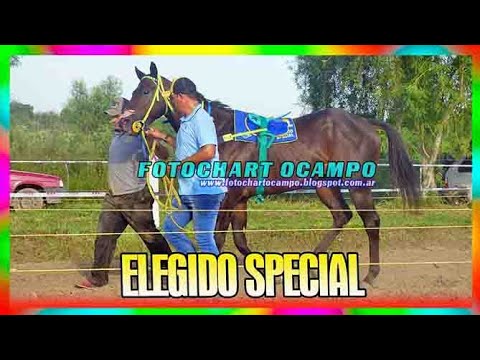ELEGIDO SPECIAL   Laguna Naineck   Formosa 16 03 2025