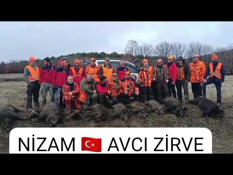 Türkiye'de Yaban Domuzu Avında Başarı Garantili