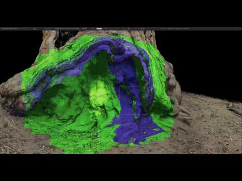 Nurulize Launches Creation Engine for Hollywood VR Experiences