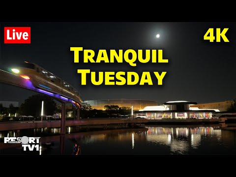🔴4K Live: Tranquil Tuesday at Epcot in 4K  - A Relaxing Evening