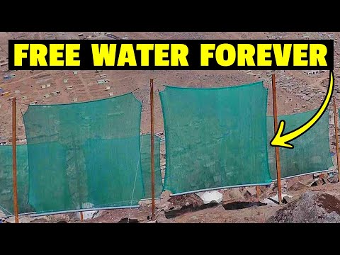 Desert Fog Nets Catch 10,000 Liters Of Water Daily