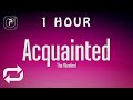[1 HOUR 🕐 ] The Weeknd - Acquainted (Lyrics)