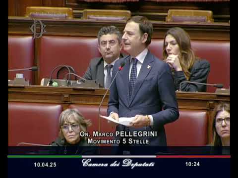 Marco Pellegrini   M5S Camera   Dichiarazione di voto in Aula 10/04/2025