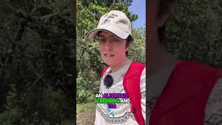Insulin Pump Travel Tips - Flying with Type 1 Diabetes #shorts