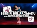 DJ Berdiri Bulu Romaku DJ Breakbeat Slow Full Bass Viral TikTok 2025