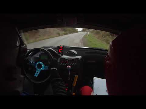 Miranda - Doriguzzi Rally Fettunta 2018 Ps4 Peugeot 106 A6 12° assoluti