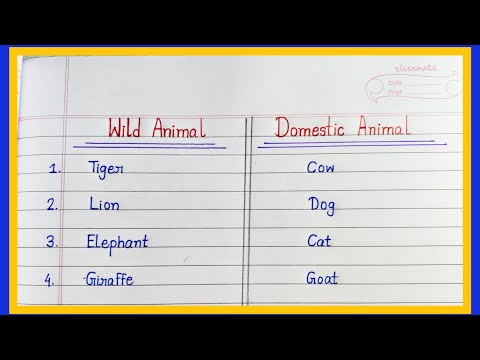 20 Wild Animals And  Domestic Animals Name In English | Handwriting