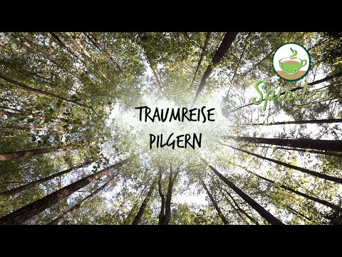 Pilgrimage on the Way of St. James: A dream journey