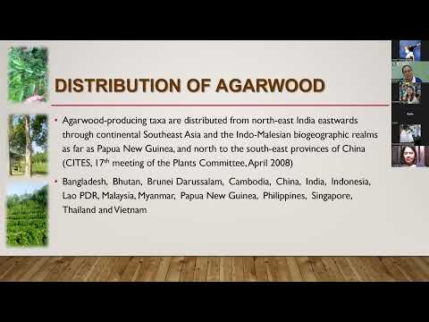 AGARWOOD Webinar Series 2023 Topic 1: Things You Should Know About Agarwood