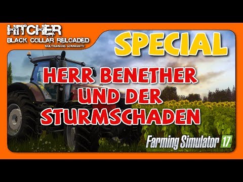 BCR - LS17 Forst #022 - Special - Herr Benether und der Sturmschaden