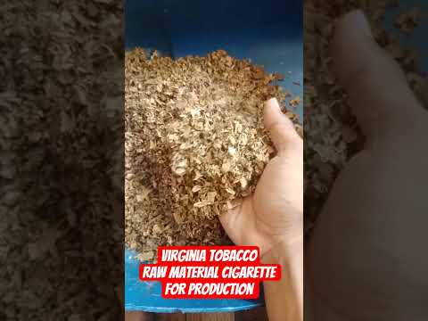 Virginia tobacco. Raw material for cigarette production