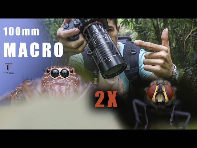 Vídeo relacionado con TTARTISAN Lente de cámara macro 2X F2.8 de 100 mm para Nikon Z, lente de enfoque manual de marco completo para fotografía en miniatura