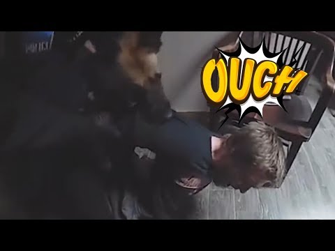 download lagu mp3 mp4 Bork Bork, download lagu Bork Bork gratis, unduh video klip Download Bork Bork Mp3 dan Mp4 Music Gratis