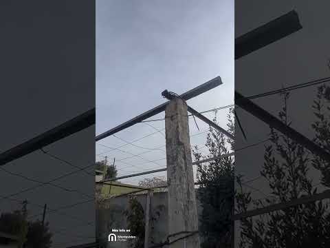 Disparos en Las Acacias 2