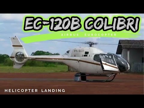 Pouso de Helicóptero Eurocopter EC-120B Colibri | Aeroclube de Brasília | Helicopter Landing