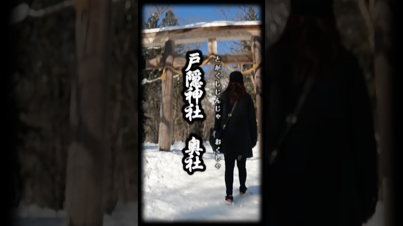 #戸隠神社 奥社 #japan #shortvideo #shorts #旅行 #女子 #神社 #長野県