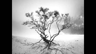 TWICEYOUNG **SLOW DOWN**