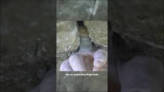 One Finger in the Crack