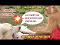 Laxmikant Bhise Animal Video Animal Dubbing Comedy Funny Viral