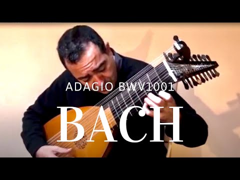 BACH BWV 1001, played on the 13 course lute by Xavier Díaz-Latorre