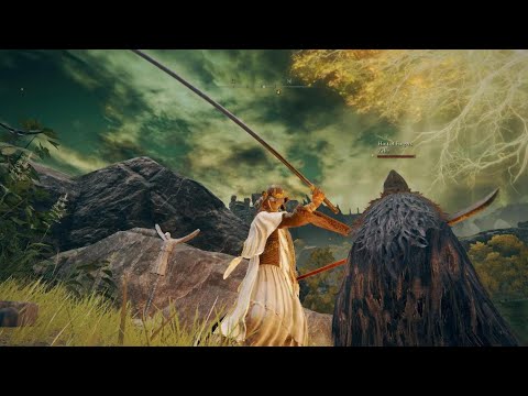 Saving a Host and Invader From an Invisible Invader - Elden Ring