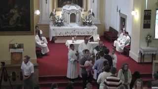 preview picture of video 'Római katolikus szentmise - Családi nap Diósjenő, 2014'