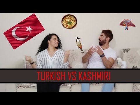 Kashmiri Language Vs Turkish Language!